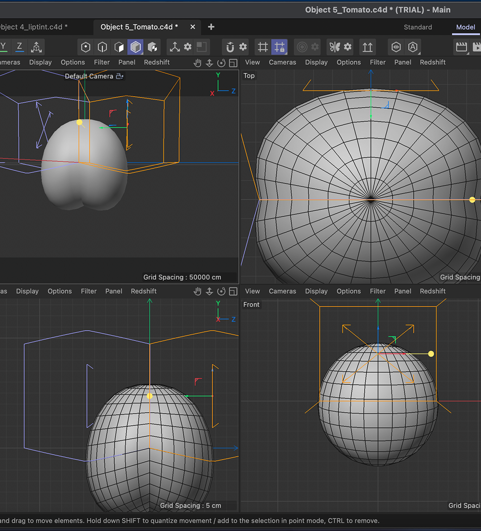 Image of the modeling progress of the tomato